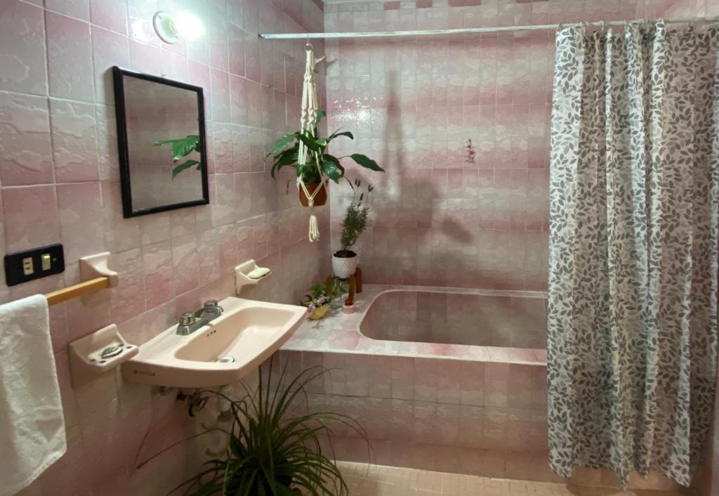 Apartmán CASA SANTIAGO sí hay internet San Miguel de Allende Exteriér fotografie