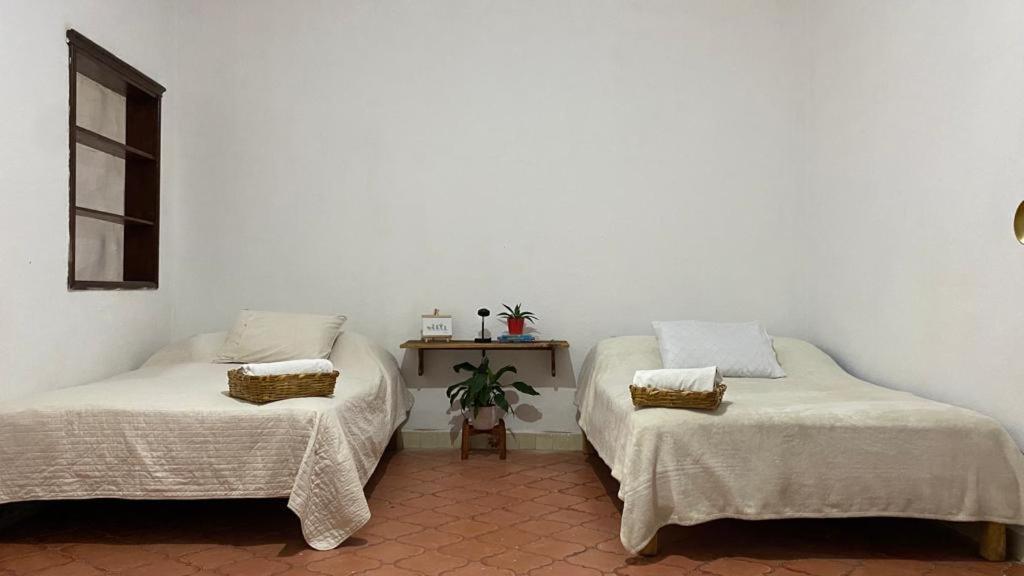 Apartmán CASA SANTIAGO sí hay internet San Miguel de Allende Exteriér fotografie