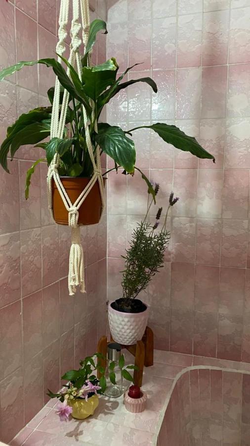 Apartmán CASA SANTIAGO sí hay internet San Miguel de Allende Exteriér fotografie