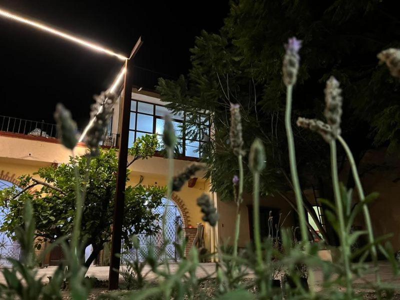 Apartmán CASA SANTIAGO sí hay internet San Miguel de Allende Exteriér fotografie